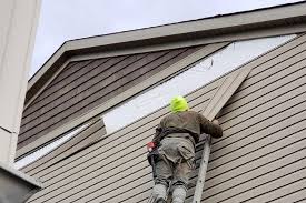 Professional Siding in Zephyrhills West, FL